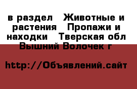  в раздел : Животные и растения » Пропажи и находки . Тверская обл.,Вышний Волочек г.